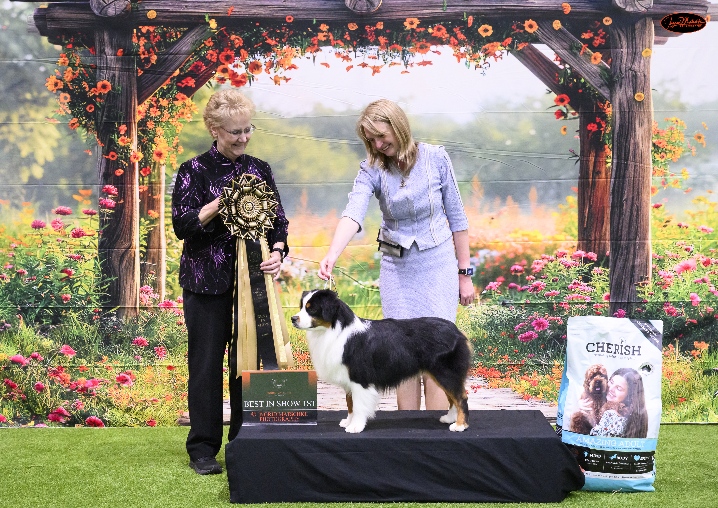 Best in Show - AM. CH. ALTA MOVES LIKE JAGGER (IMP USA)