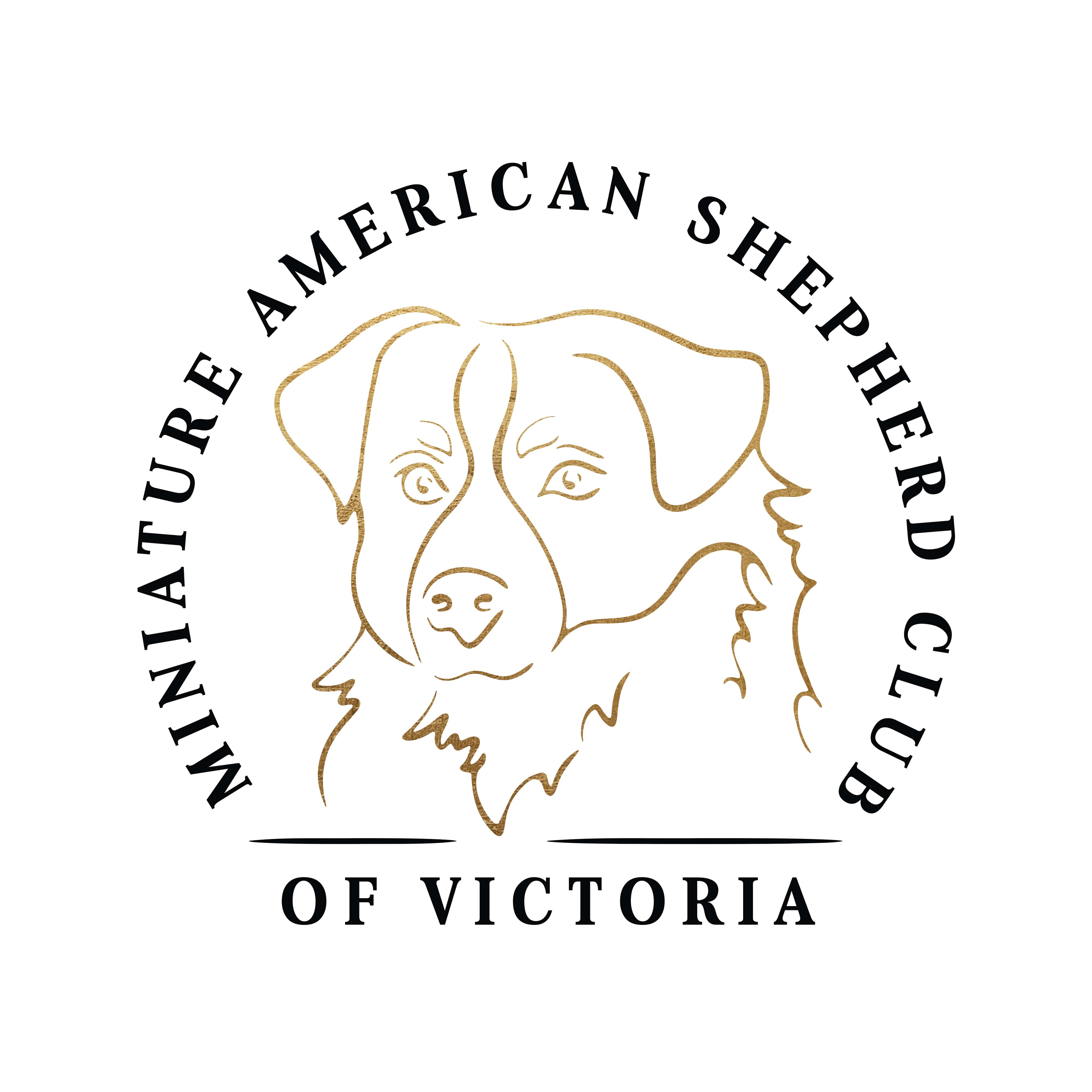 mini american shepherd club of victoria logo
